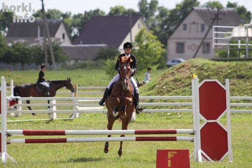Конные соревнования в Горках. Большой фоторепортаж