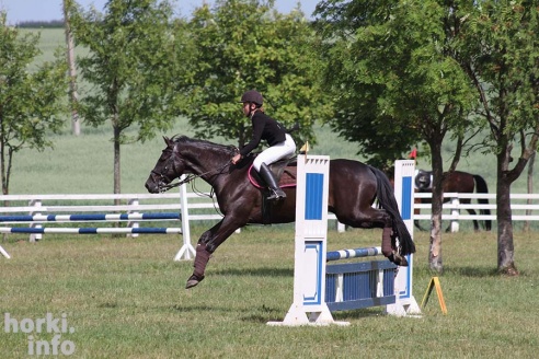 Конные соревнования в Горках. Большой фоторепортаж