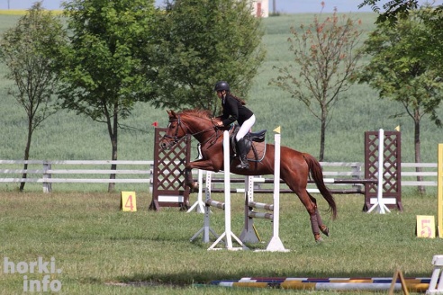 Конные соревнования в Горках. Большой фоторепортаж