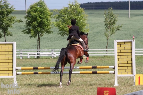 Конные соревнования в Горках. Большой фоторепортаж