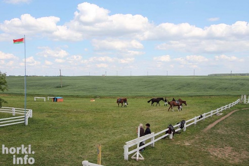 Конные соревнования в Горках. Большой фоторепортаж