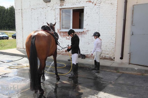 Конные соревнования в Горках. Большой фоторепортаж