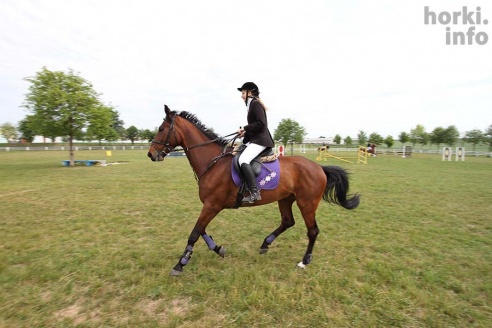 Конные соревнования в Горках. Большой фоторепортаж