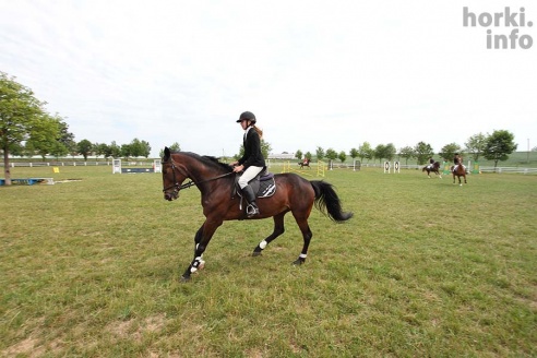 Конные соревнования в Горках. Большой фоторепортаж