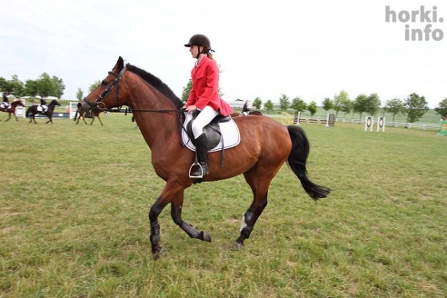 Конные соревнования в Горках. Большой фоторепортаж