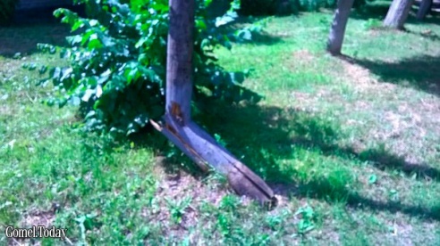 Фотофакт: в центре города треснула и надломилась опора ЛЭП, сама ЛЭП натянулась