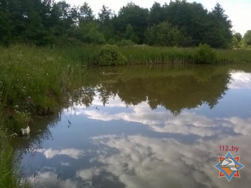 Трое детей утонули в водоеме в Сеннеском районе