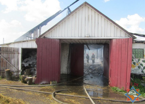 В Ошмянском районе пожар уничтожил телятник