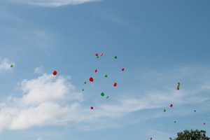 День Независимости в Костюковичах (+ фото)