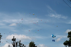 День Независимости в Костюковичах (+ фото)