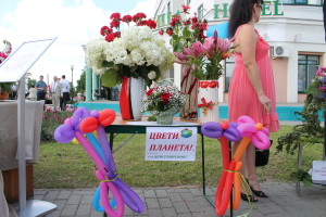 День Независимости в Костюковичах (+ фото)