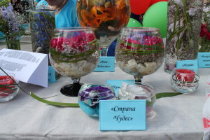 День Независимости в Костюковичах (+ фото)