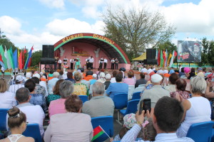 День Независимости в Костюковичах (+ фото)