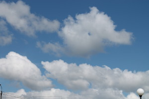 День Независимости в Костюковичах (+ фото)