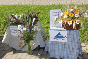 Самый главный праздник нашей страны – День Независимости – отпраздновали на прошлой неделе в Костюковичах (+ фото, видео)