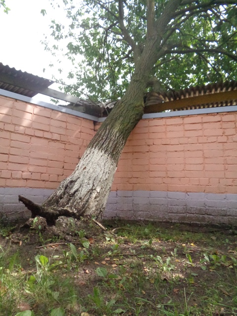 Последствия непогоды