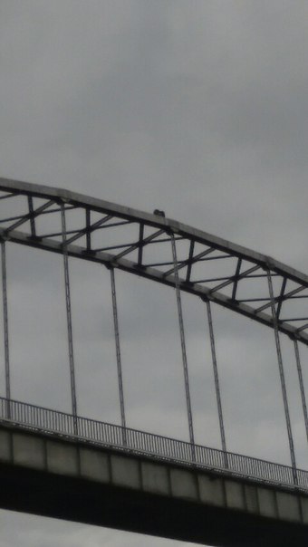 Фотофакт: на ферме пешеходного моста через Сож сидела девушка, предположительно, намеревавшаяся совершить суицид