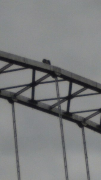 Фотофакт: на ферме пешеходного моста через Сож сидела девушка, предположительно, намеревавшаяся совершить суицид