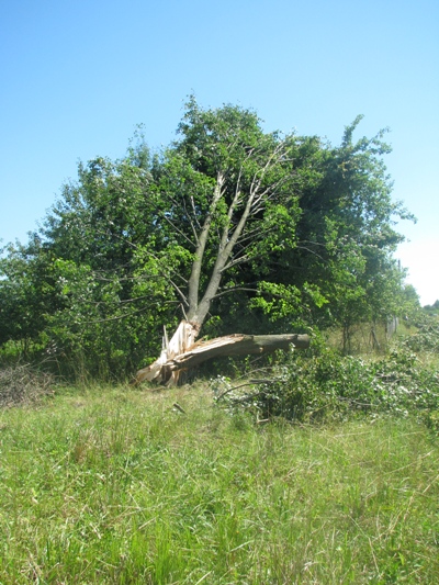 Навальніца са шквалістым ветрам