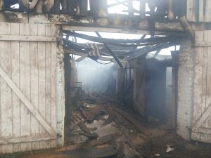 Чуть не сгорели телята (+фото)