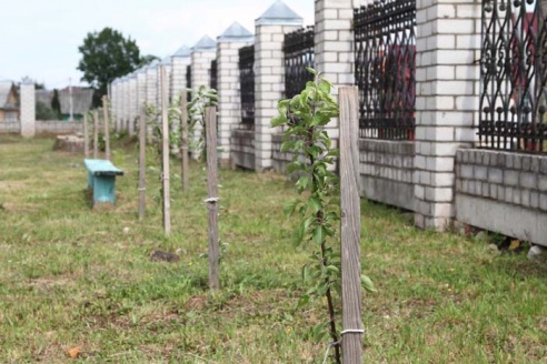 Как Горки становятся лучше