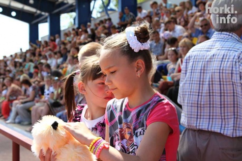 День Республики в Горках: от косинеров до современности