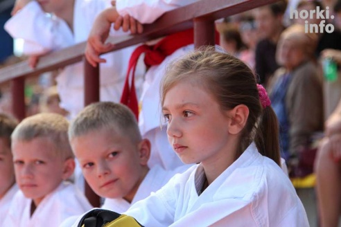 День Республики в Горках: от косинеров до современности