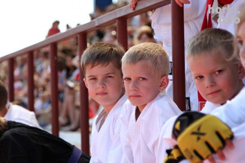 День Республики в Горках: от косинеров до современности