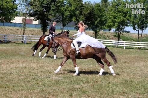Показательные выступления на конкурном поле конно-спортивной школы