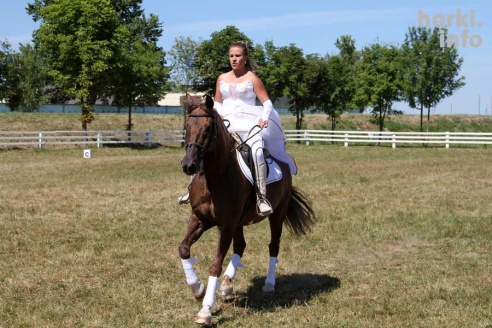 Показательные выступления на конкурном поле конно-спортивной школы