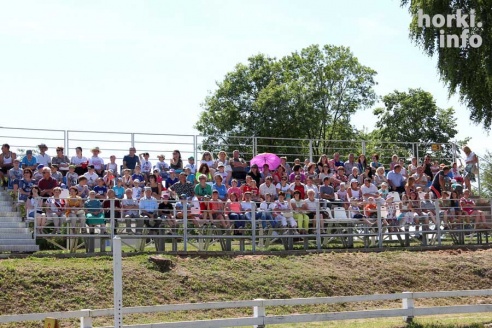 Показательные выступления на конкурном поле конно-спортивной школы