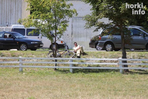 Показательные выступления на конкурном поле конно-спортивной школы