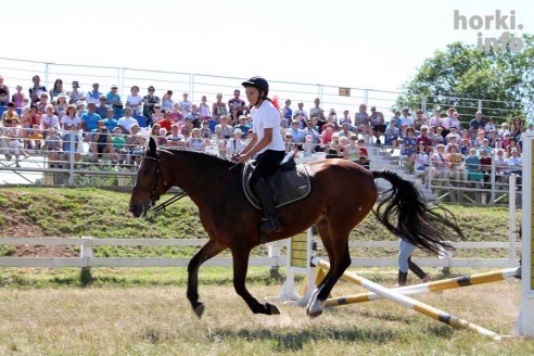 Показательные выступления на конкурном поле конно-спортивной школы