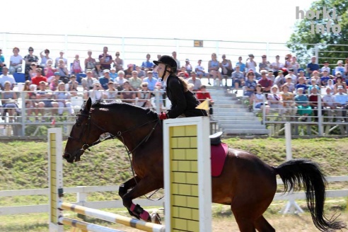 Показательные выступления на конкурном поле конно-спортивной школы