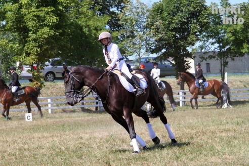Показательные выступления на конкурном поле конно-спортивной школы