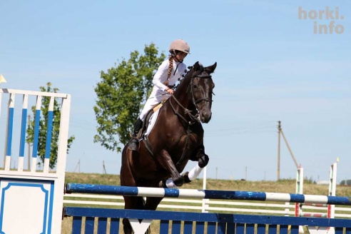 Показательные выступления на конкурном поле конно-спортивной школы