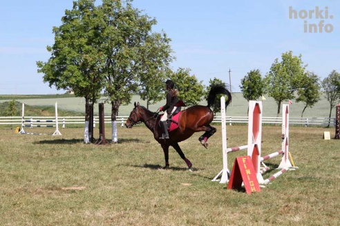 Показательные выступления на конкурном поле конно-спортивной школы