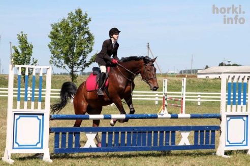 Показательные выступления на конкурном поле конно-спортивной школы