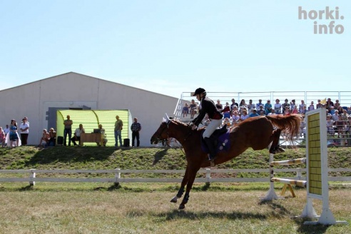 Показательные выступления на конкурном поле конно-спортивной школы