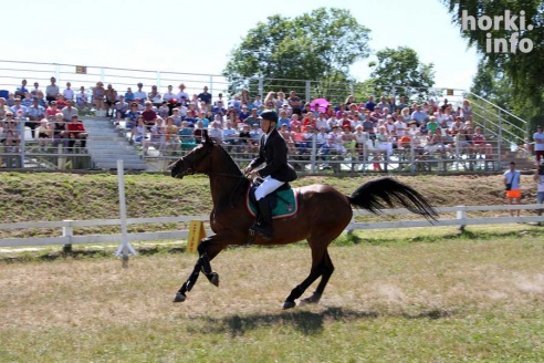 Показательные выступления на конкурном поле конно-спортивной школы