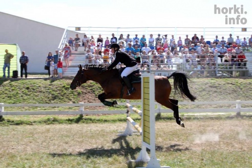 Показательные выступления на конкурном поле конно-спортивной школы