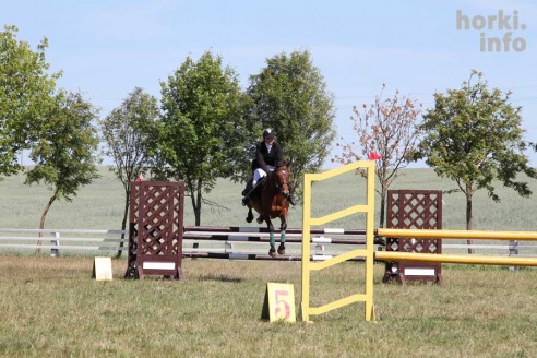 Показательные выступления на конкурном поле конно-спортивной школы