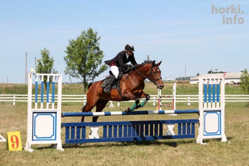 Показательные выступления на конкурном поле конно-спортивной школы