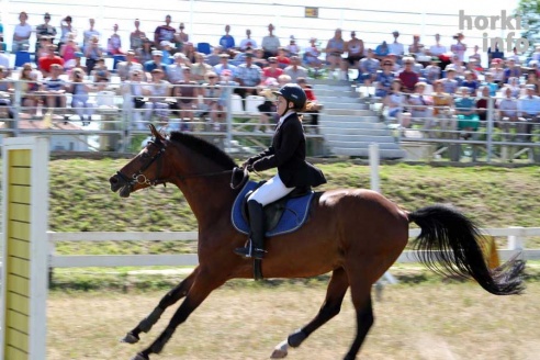 Показательные выступления на конкурном поле конно-спортивной школы