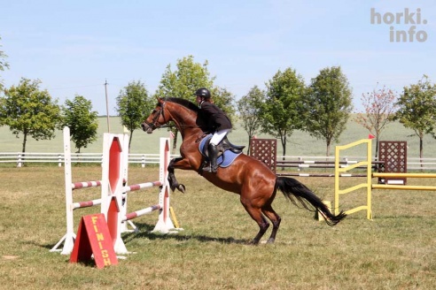 Показательные выступления на конкурном поле конно-спортивной школы