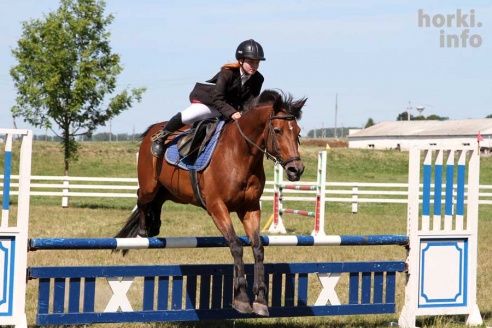 Показательные выступления на конкурном поле конно-спортивной школы