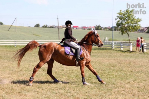 Показательные выступления на конкурном поле конно-спортивной школы
