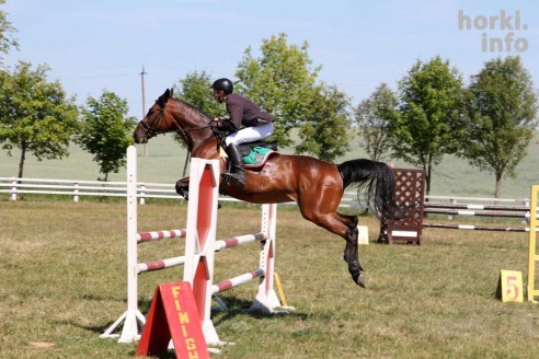 Показательные выступления на конкурном поле конно-спортивной школы