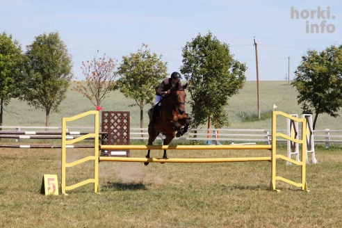 Показательные выступления на конкурном поле конно-спортивной школы