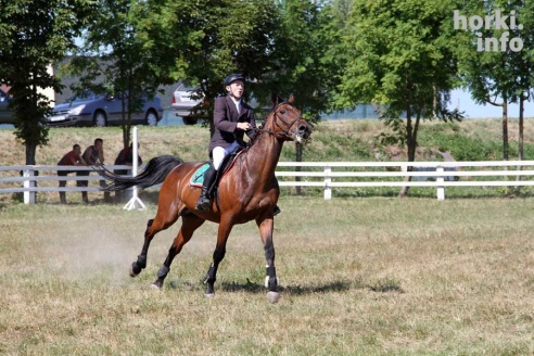 Показательные выступления на конкурном поле конно-спортивной школы